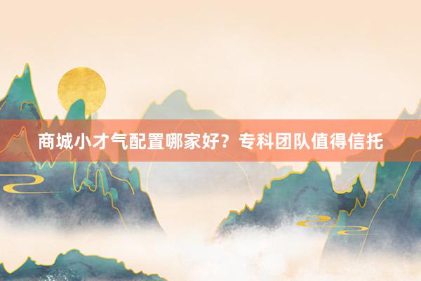 商城小才气配置哪家好？专科团队值得信托